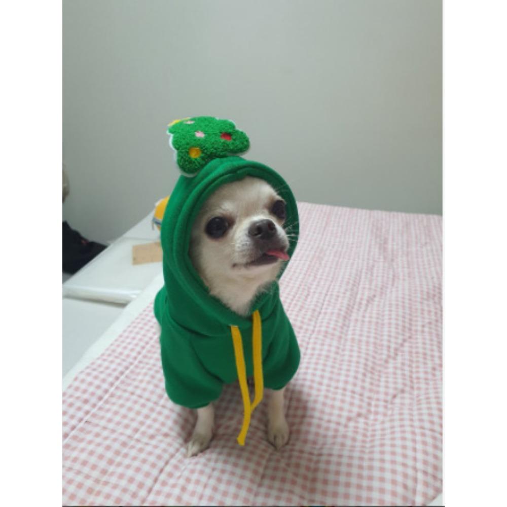 Pet dog cat sweater autumn and winter new teddy fight medium dog Christmas cat supplies clothes