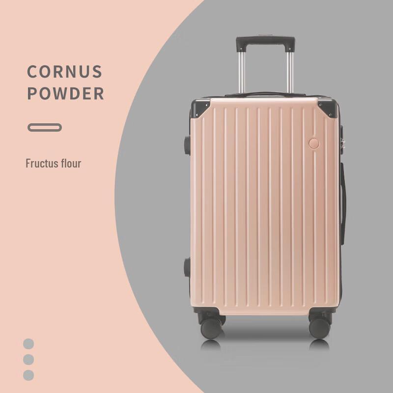 Traveler LTZ Lightweight Hardside Carry-On Suitcase 20 Inch