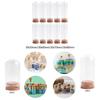 10x Glass Display Domes Cloche Bell Jars Versatile Decorative Jars for