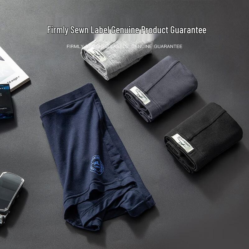 Langsha Men's 5A Antibacterial Bamboo Fiber Boxer Briefs (4-Pack)