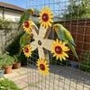 Wear Resistant Wooden Parrots Ferris Wheel With Bearings Bird Swing Toy  Avian Activities