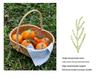 Rattan-Style Watermelon Basket for Shopping, Vegetables, Fruits, and Picnics