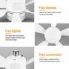 With Remote Control Ceiling  Fan  Light with Lights Ceiling Lamp  for Dining Room