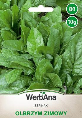 Espinacas Winter Giant 10g semillas de espinacas -