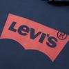 Levis Comfortable Casual Letter Logo Knitted Hoodie Long Sleeve Sweatshirt Men Sweatshirt 003YT-0001