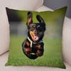 Federa per Cuscino Cane Bassotto Mini Decorazione Animale Domestico Federe Cuscino Animale Peluche Super Morbido per Divano Casa Stanza Bambini ,(7)
