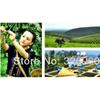 100g Ripe Pu-erh Tea Cake Organic Shupu Slimming Fermented Yunnan Heicha