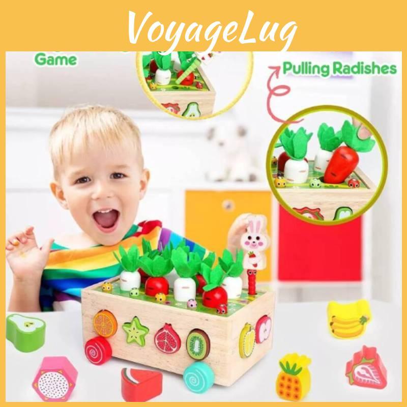 Childrens Wooden Paired Insect Catching Carrot Pulling Fruit Toy For Daily Gift