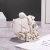European Octopus Skull Resin Craft for Garden, Balcony, or Succulent Plant Display