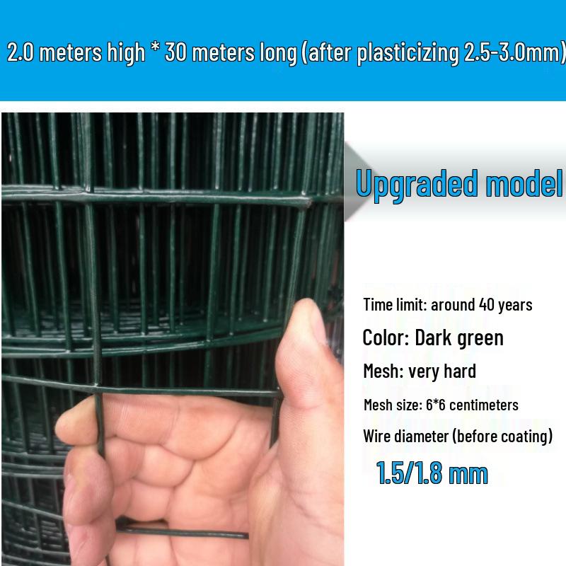 Rustproof Green Plastic-Coated Mesh Wire Fence for Chicken Enclosure