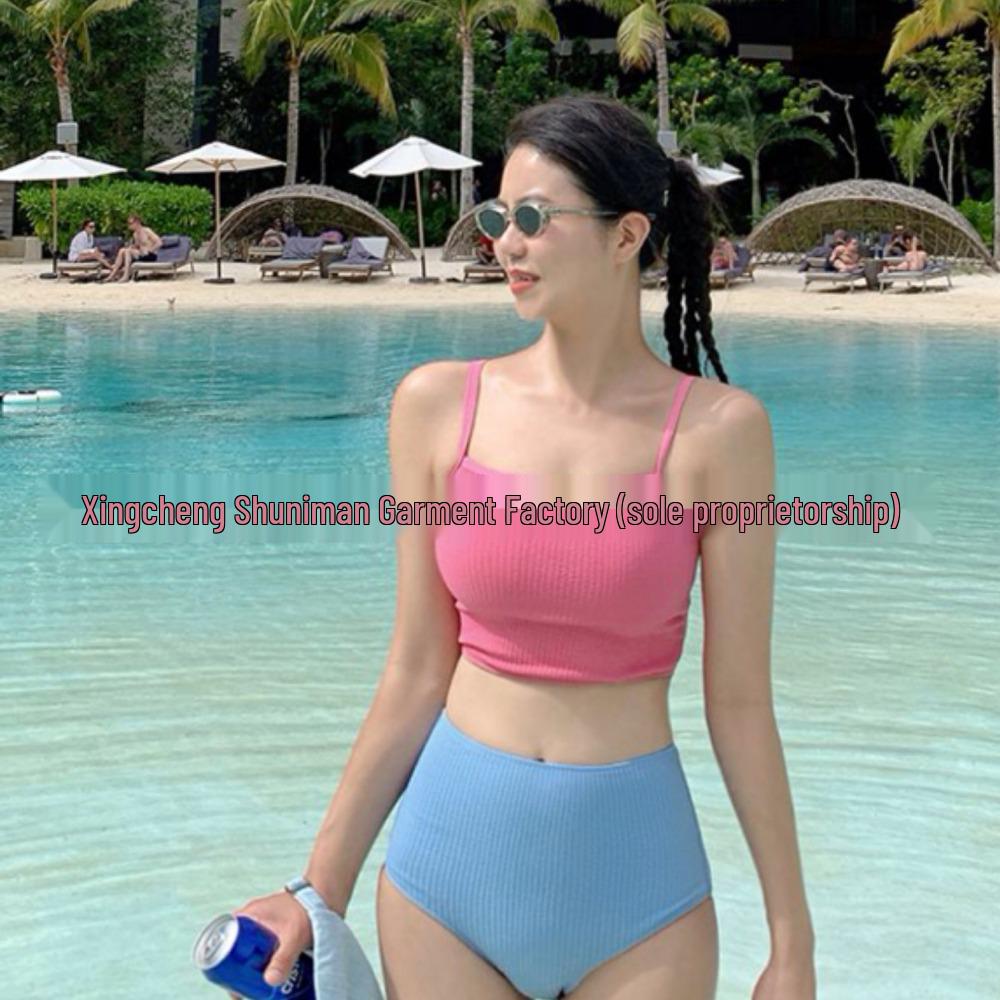 Women's Solid Color High Waist Bikini with Flesh-Covering Panel, Slimming Design, Pure Desire Style, and Color Block for Small Chest