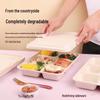 Biodegradable Sugarcane Pulp Takeout Meal Boxes