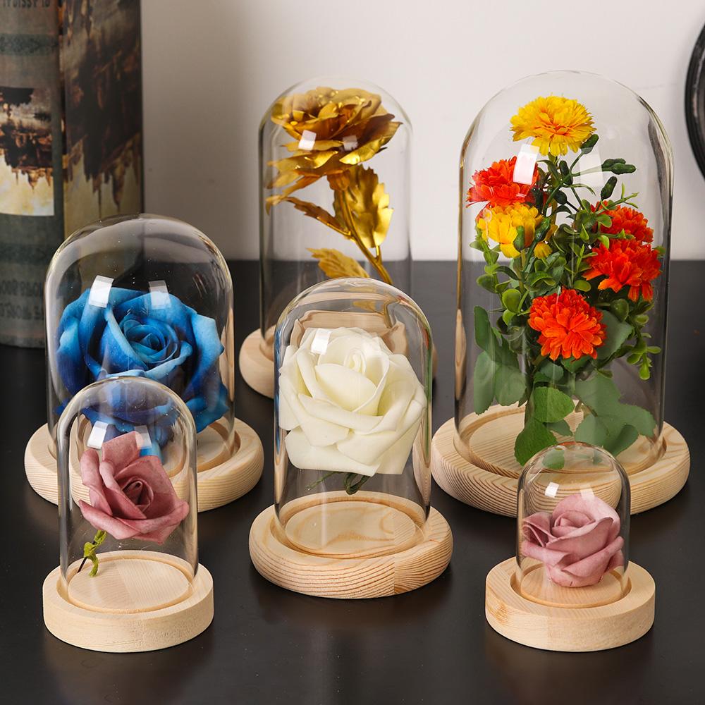 Glass Cloche Jar Display Stand Cover Terrarium Bottle with Wooden Base Acrylic Dust Cover Display Box Immortal Flower Box