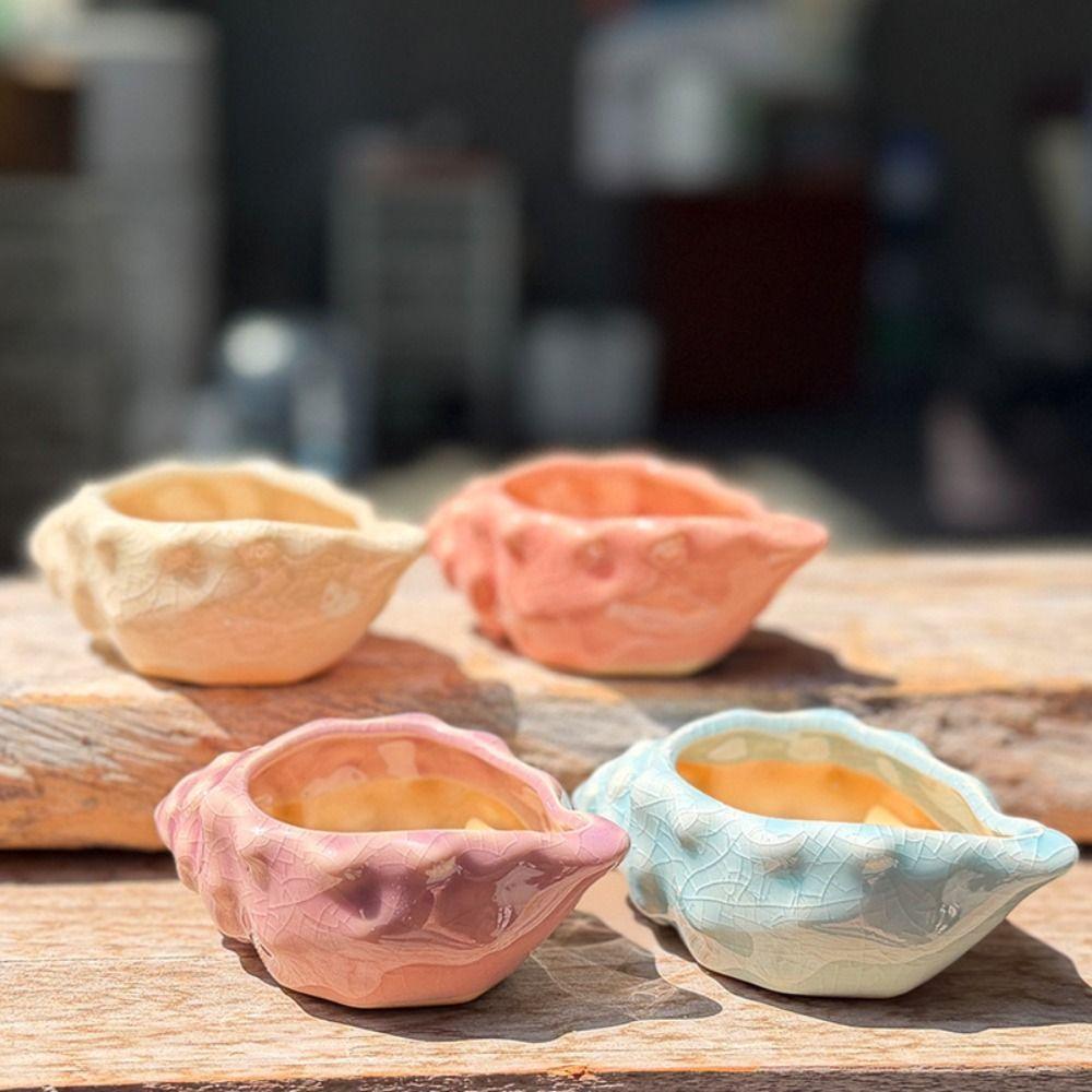 Small Conch Flowerpot Small Capacity Succulent Flowerpot New Gardening Supplies Indoor Decor