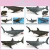 Lifelike Tooth Shark Aquarium Decoration Model For Educational Marine Biology Exploration