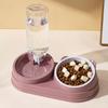 Automatic Double Bowl Pet Feeder: Slanted Stainless Steel Bowl for Cats & Dogs