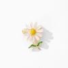 Fashion Daisy Sun Flower Brooches for Women Men Trendy Sunflower Plant Party Wedding Office Korean Jewelry Accessories
