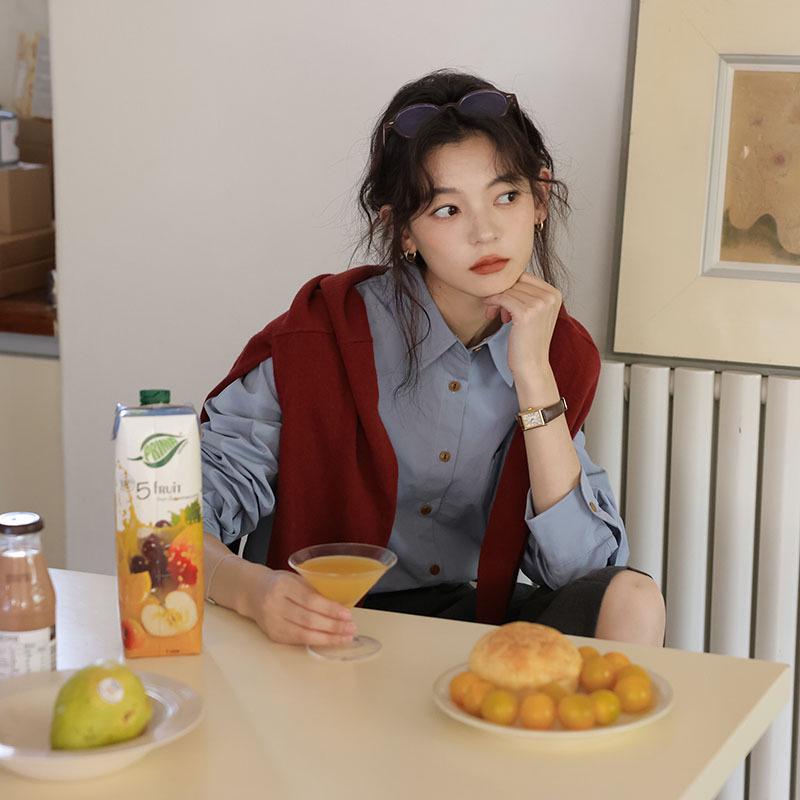 2026 Spring Women s Chic Slimming Long Sleeve Retro Blue French Style Shirt Large небесно-голубой