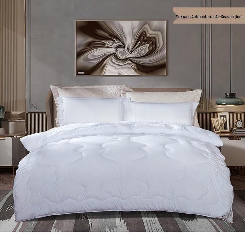 

Fuanna Yixiang Antibacterial Spring Autumn Quilt