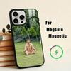 Singer R-Romeo Santos  Phone Case For iPhone17,16,15,14,13,12,11 Plus,For Magnetic Wireless Charge Cover