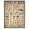 1pc Canvas Poster, Types Of Bees Poster, Types Of Insects Poster, Bee Illustration Poster, Bee Knowledge Poster Wall Art For Liv