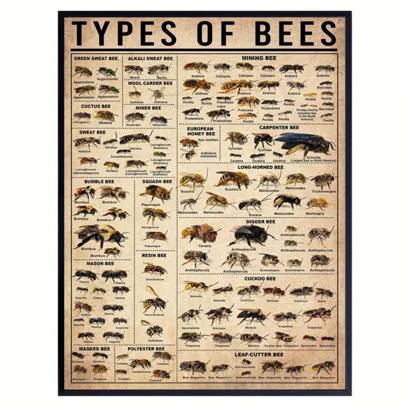 1pc Canvas Poster, Types Of Bees Poster, Types Of Insects Poster, Bee Illustration Poster, Bee Knowledge Poster Wall Art For Liv