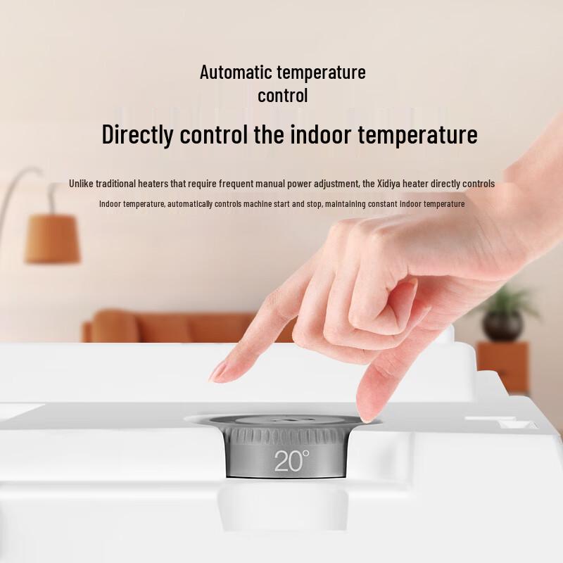 Xidiya C16-2500 Wall-Mounted Convection Heater