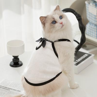 Kedi – Kediler için giyim