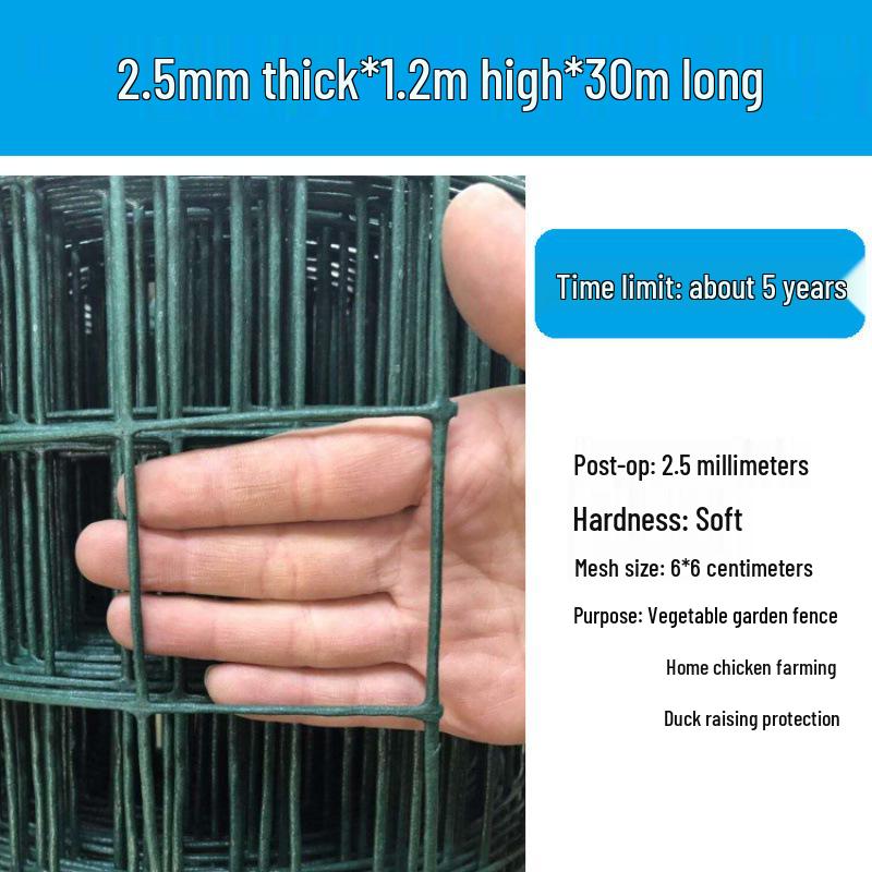 Rustproof Green Plastic-Coated Mesh Wire Fence for Chicken Enclosure