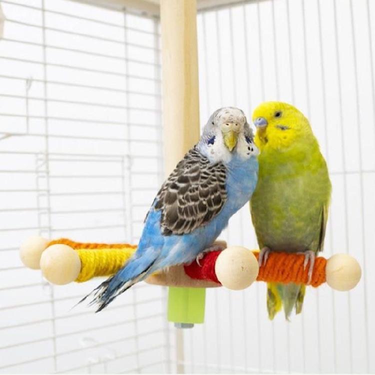 Small Bird Enrichment Toy Rotate Play Stand Bird Entertainment Center For Beak Conditioning And Claws Filing