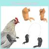 Novelty Chicken Arm Decoration Funny Dinosaur Spoof Pet Prop Chicken Forelimb Decor