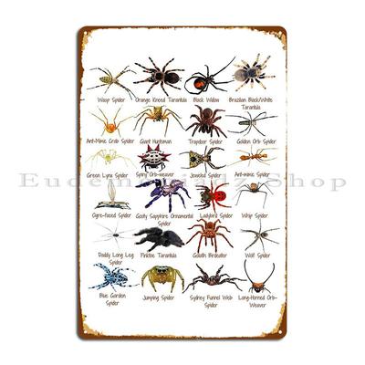 24 Stupendous Spiders Photos Edmondslove Metal Plaque Create Classic Designing Cave Create Tin Sign Poster