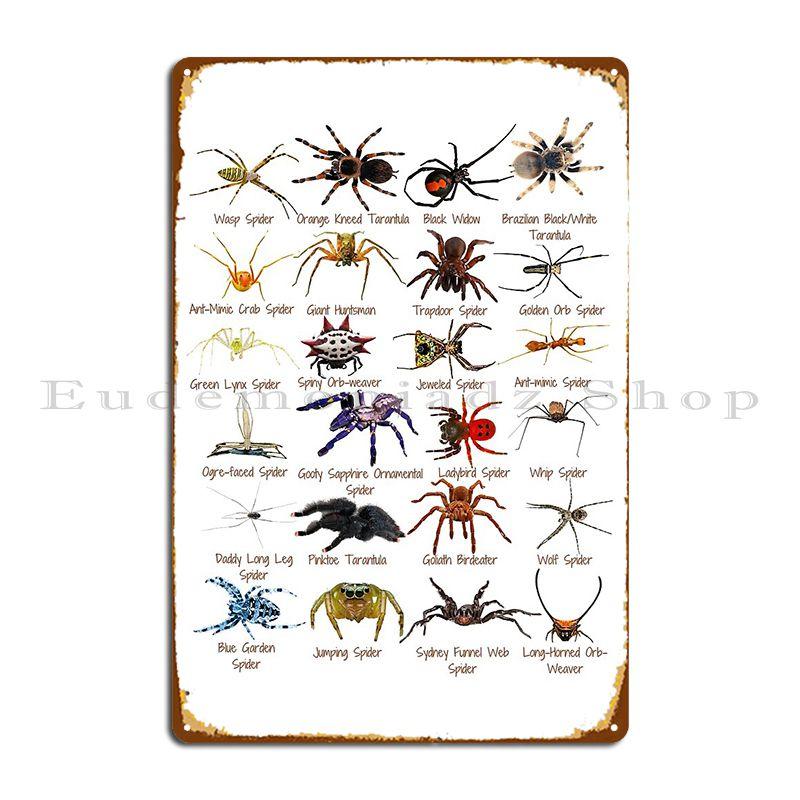 

24 Stupendous Spiders Photos Edmondslove Metal Plaque Create Classic Designing Cave Create Tin Sign Poster 20x30cm
