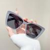 Women Cat Eye Sunglasses Trendy Retro Large Frame UV400 Resin Lens Fashion Sun Glasses for Women