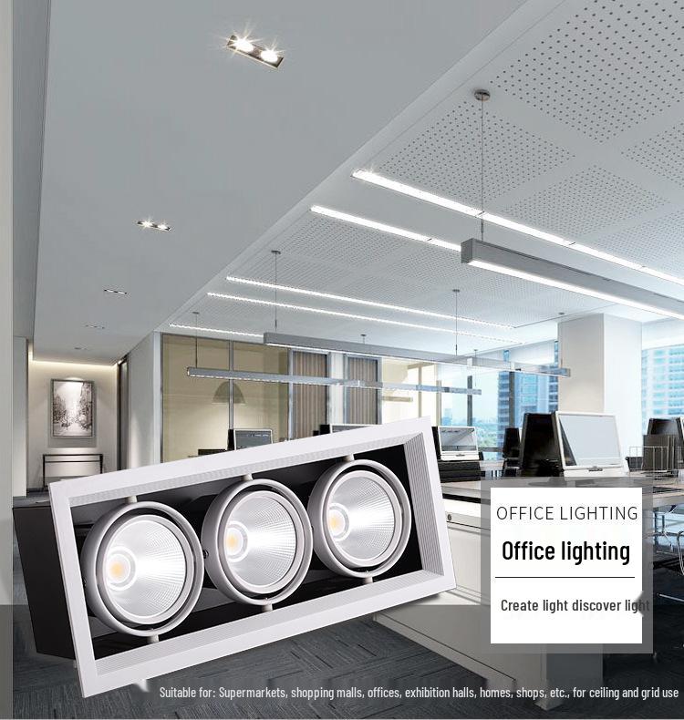 Adjustable Double-Head LED Eyeball Spotlight for Retail Stores