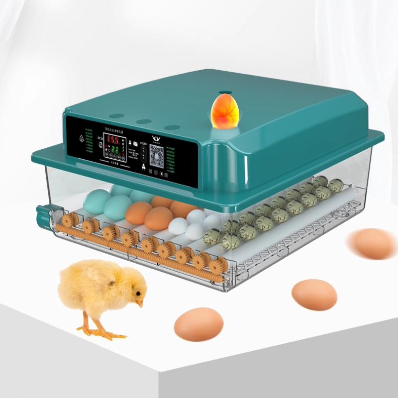 Automatic Smart Egg Incubator Full Digital Control for Chicken/Quail Eggs Compact Startup Incubator Poultry Breeding Equipment