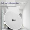 Huidu RS-708 Conference Ceiling Speaker (CN Version)