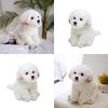 Adorable White Maltese Plush Toy, Fiber Filled, Long Haired Stuffed Animal, 33x24x16cm/38x26x21cm
