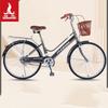 Phoenix Retro Commuter Bicycle