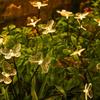 2 Modes Solar Butterfly Lights 6 LED Stake Lights Landscape Outdoor Decor Light  Pathway