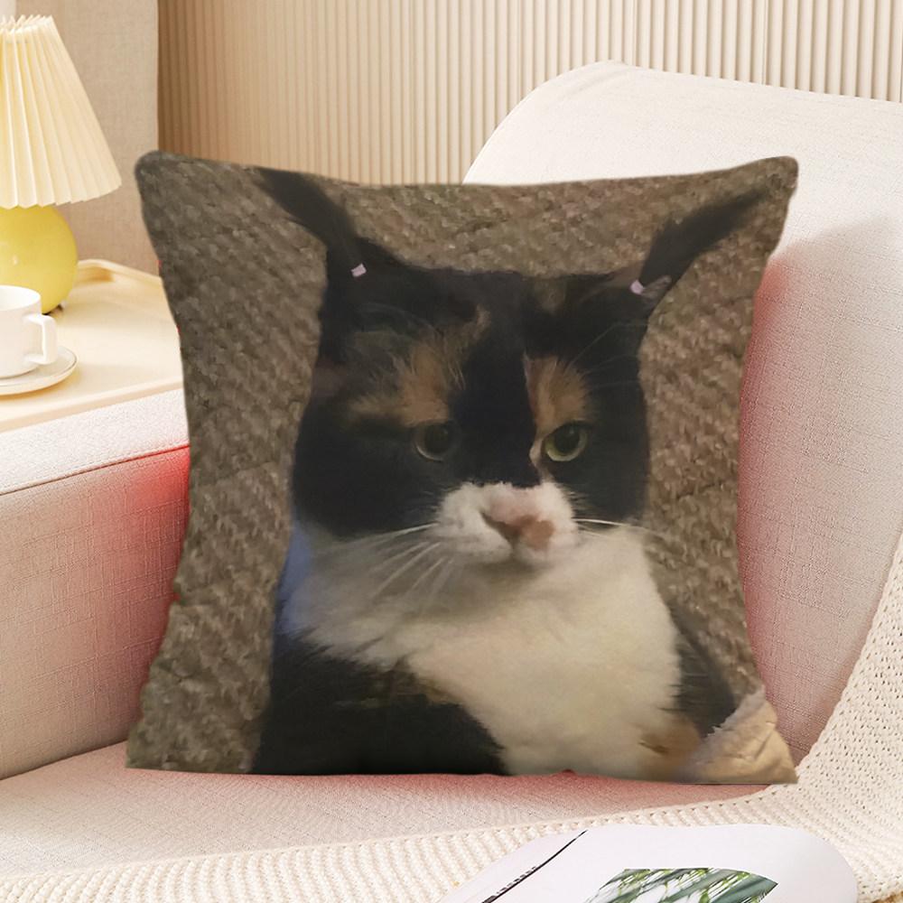 New Cute Funny Cat Pillow Case Sofa Office Bedroom Bedside Home Decor Cushion Cover