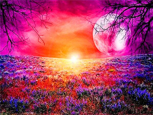 Diamond Art Painting Sunset Seaside Landscape Full Square/round Embroidery Mosaic Flower Scenery Cross Stitch Home Decor