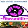 1M/2M/3M/4M/5M Pflanzenlicht Grow LED-Streifen 5V USB LED 1-5m Vollspektrum Wasserdichter LED-Chip für Gewächshaus Blume Setzling Grow Box Hydroponik