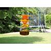 BSI - Powerful Wasp or Hornet Trap - Professional - Effective On Asian Hornets - Natural and Reusable