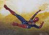TAMASHII NATIONS Avengers Iron Spider 140mm Painted Movable Figure S.H.Figuarts (Avengers/Infinity War) Approx. PVC/ABS