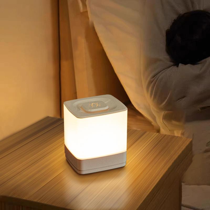 Touch Lamp LED Table Lamp Bedside Bed Bedroom with Touchable Sensor Portable Desk Lamp Sleeping Night Lights for Home Decor