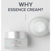 MISSHA Time Revolution The First Essence Cream 50ml Hydrating Brightening Moisturizer for Glowing Skin