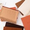 Cashmere Feel Scarf Autumn and Winter Korean Imitation Cashmere Girls High End Shawl Warm Scarf