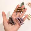 4pcs Classic Frosted Square Hair Clips - Add a Touch of Elegance To Your Hairdo!