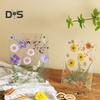 Acrylic Photo Frame Clear Picture Frames Tabletop or Wall Mount Display Frame for Home And Office DIY Dried Flower Crafts